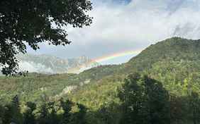 In der schönen Natur